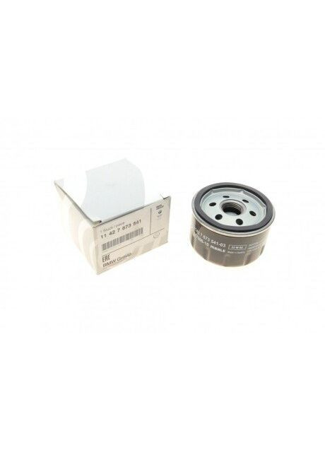 Масляний фільтр BMW (360748601)