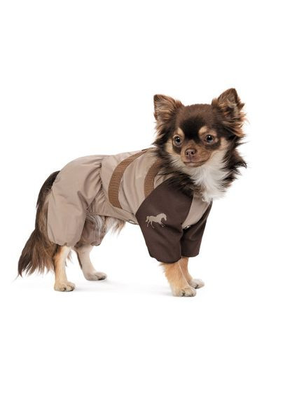 Дощовик Mustang для собак розмір M Pet Fashion (332983316)