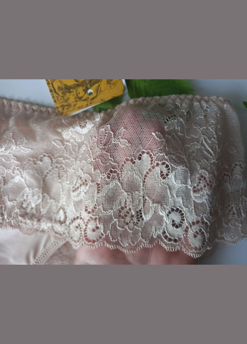 Жіночі трусики тілесні мереживні Evrobra 391. ХЛ Orhideja (368787626)