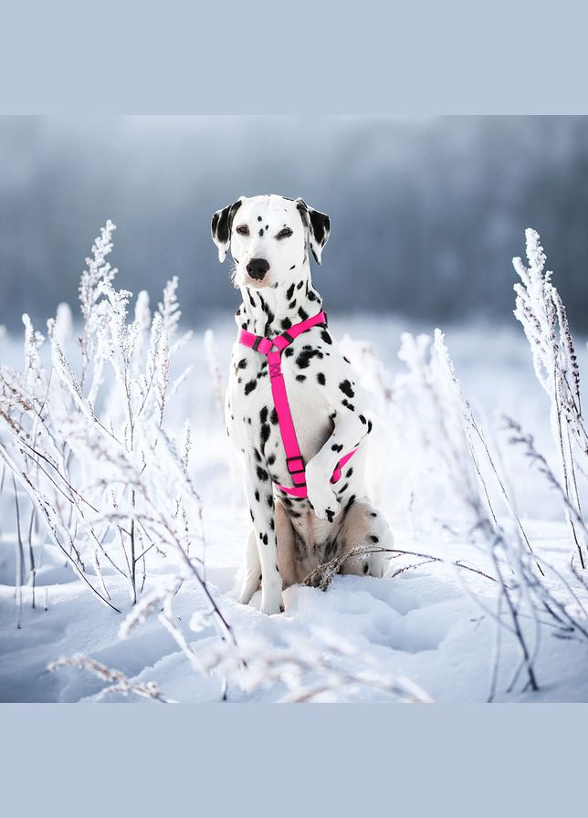 Шлей для собак Waterproof c QR-паспортом, пластиковая пряжка-фастекс, L, Ш 25 мм, А 50-85 см, В 60-100 см, розовая WAUDOG (332878999)