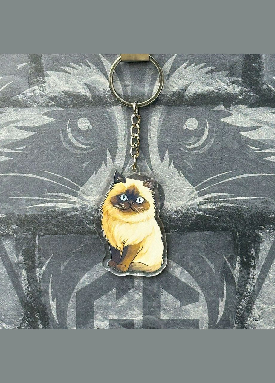 Брелок из Акрила Кот 2 No Brand (339618892)