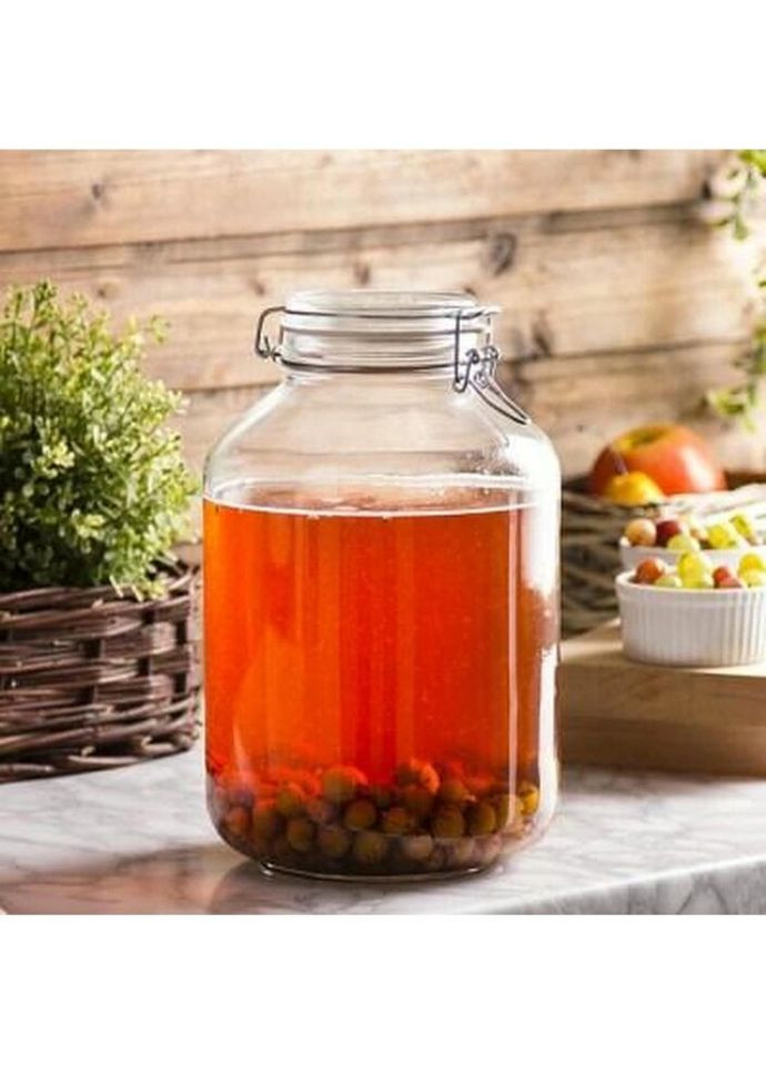 Банку з герметичною кришкою Fido 149250417321991 3 л Bormioli Rocco (335583455)