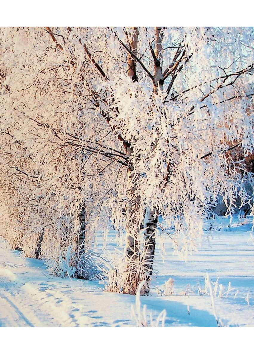 Иисус приглашает на Рождество Свічадо (370058449)