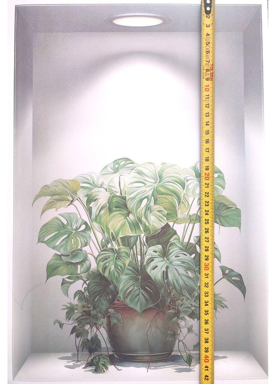 Вінілові наклейки 5 вазонів (лист 60 х 90 см) Б67-8 HPL-AB No Brand (365287987)