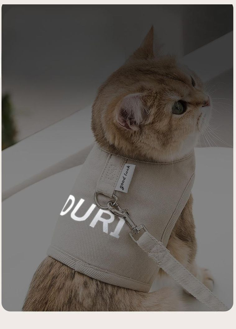 Шлея для котів і дрібних собак з повідцем, шлейка на липучках Бежевий S Duri (299915369)