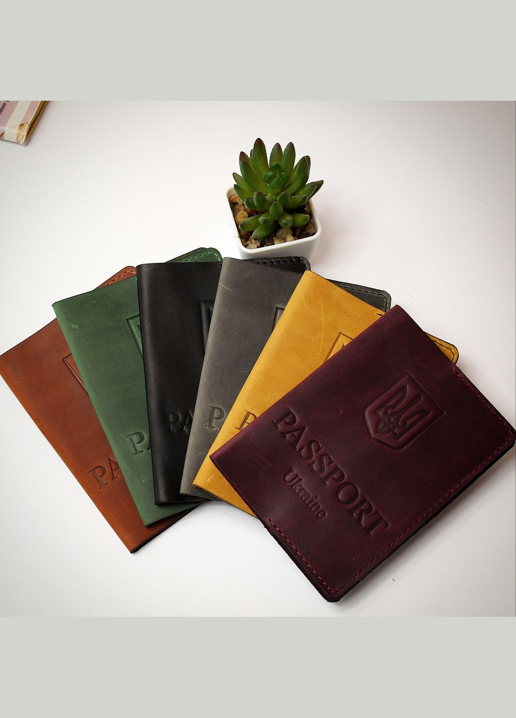 Обложка кожаная на Паспорт Украины и заграничный паспорт! STOK (293850451)