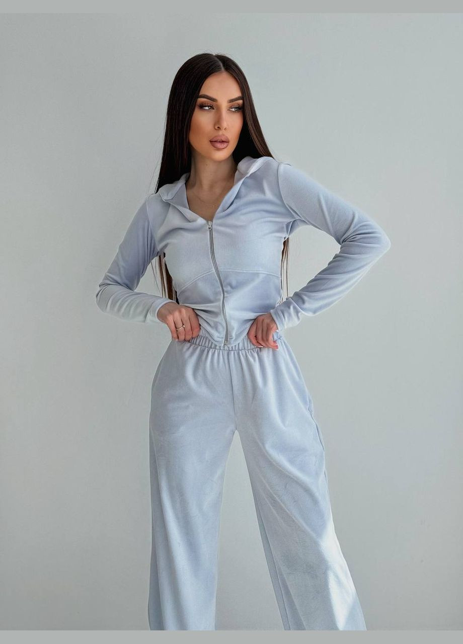 Жіночий велюровий костюм Україна (332979831)