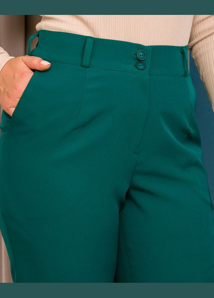 Брюки 17311 Alenka Plus (355341093)