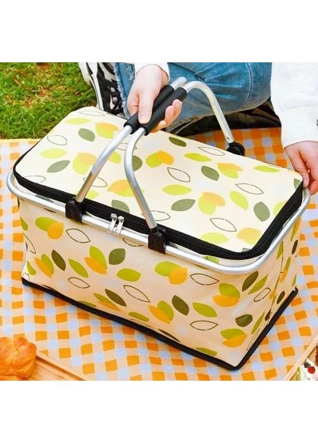 Термосумка для пикника RIAS Cool Box 38х24х19 см (3_05366) No Brand (395919683)