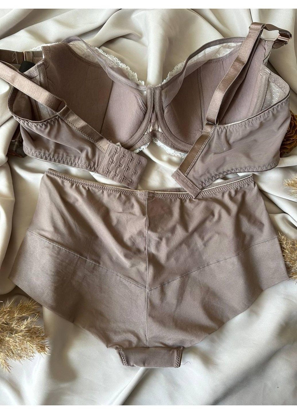 Пудровый комплект бюстгальтер мягким поролон + трусики макси 12301 мокко Lanny Mode