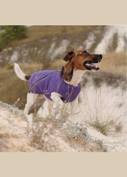 Жилет «E.Vest» для собак, розмір, фіолетовий (*) Pet Fashion (323153953)