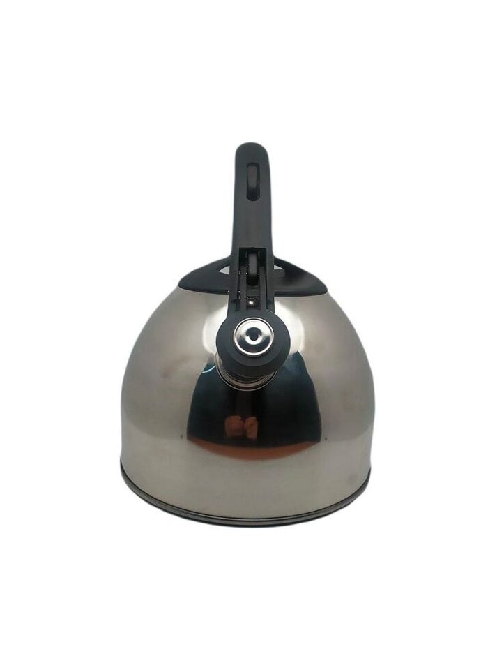 Чайник со свистком AU-602-1 2.5 л серебристый Aureti (296661115)