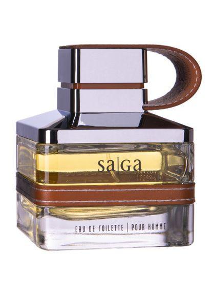 Мужская туалетная вода Emper Saga Pour Homme 100 мл Emper Perfumes (361341092)