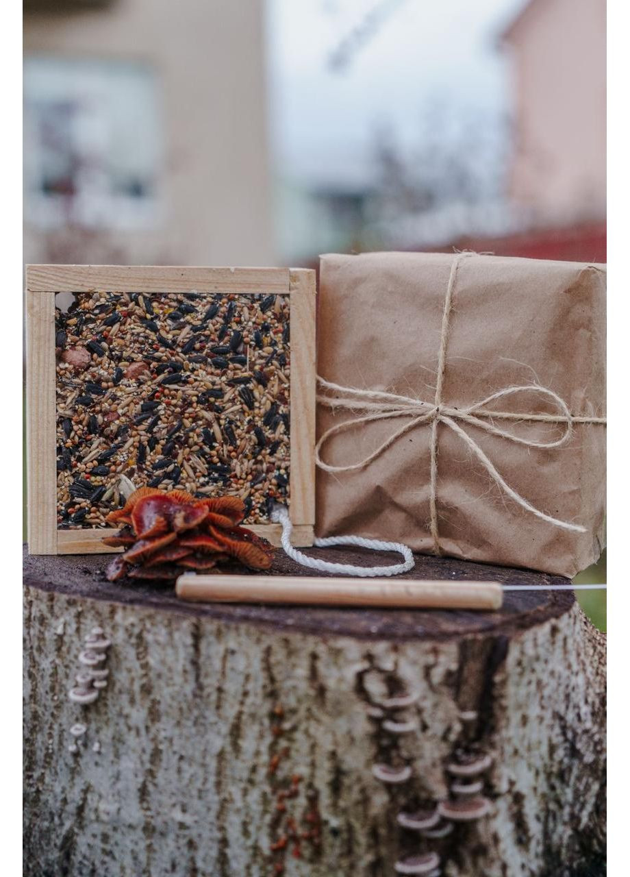 Подвесная кормушка с кормом "Птичье тирамису" No Brand (360655644)