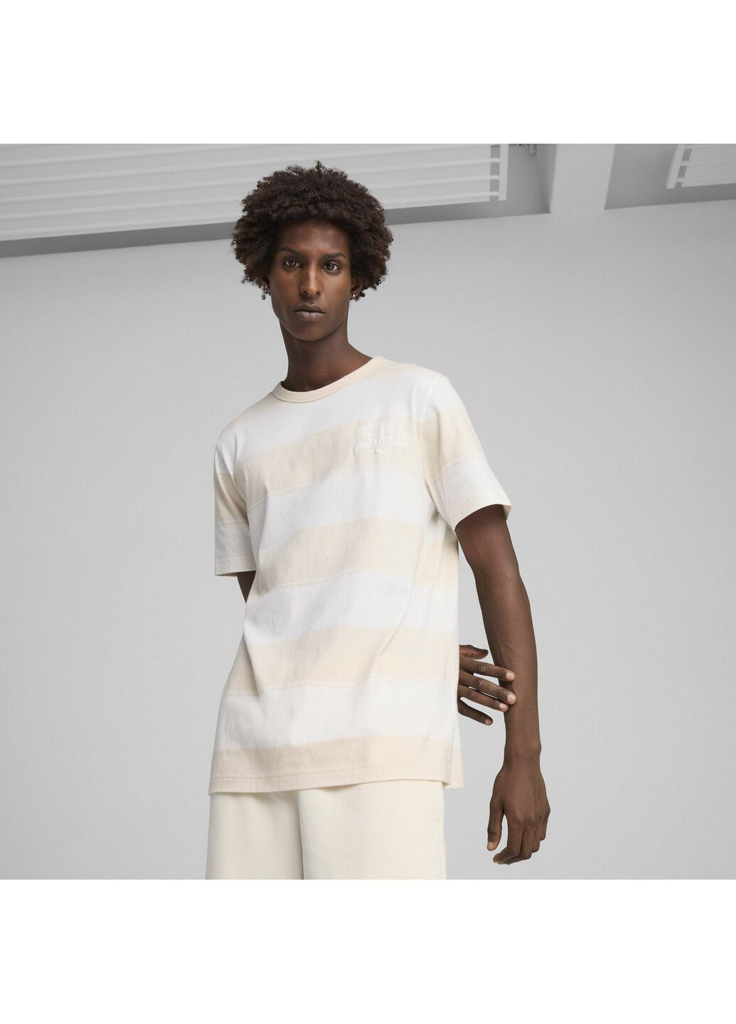 Футболка Class Striped Tee Men Puma (317250152)