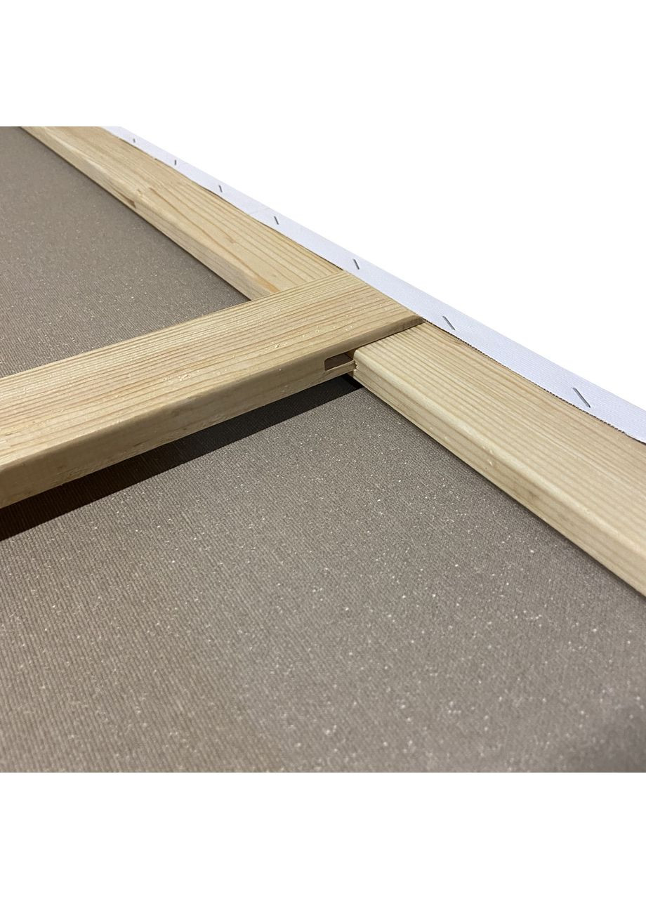 Полотно грунтованное 90х170 см, на подрамнике, 1 перемычка, среднее зерно, хлопок, планка 55х18 мм. Artfactory (361861188)