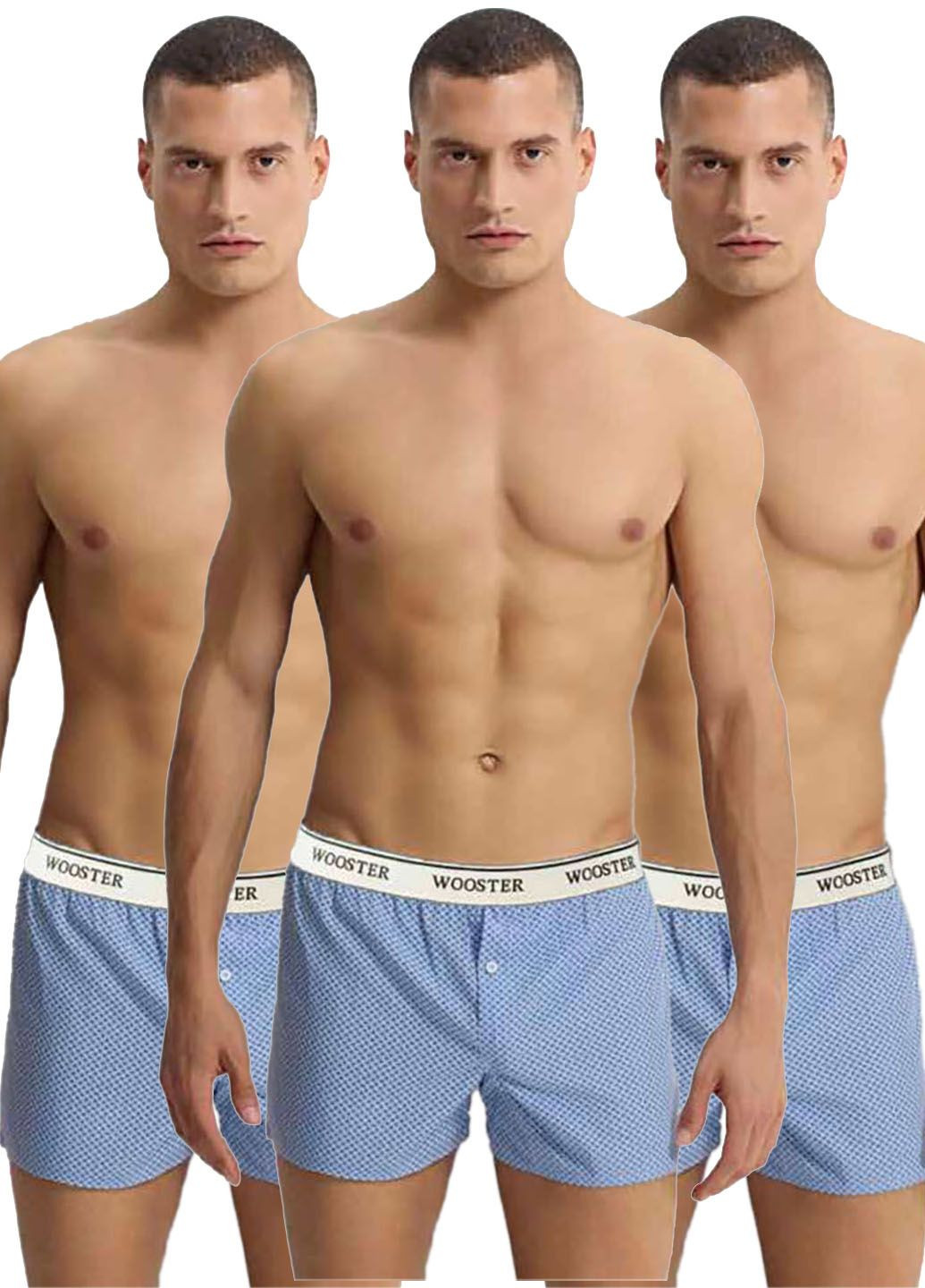 Комплект трусов Wooster (322081843)