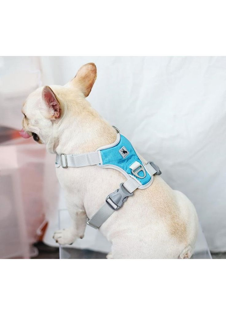 Шлея для собак Bororo Комфорт и контроль во время каждой прогулки No Brand (362571929)
