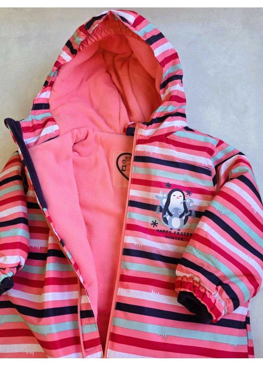 Дитячий термокомбінезон на флісі для дівчаток Lupilu Комбінезон (365579210)