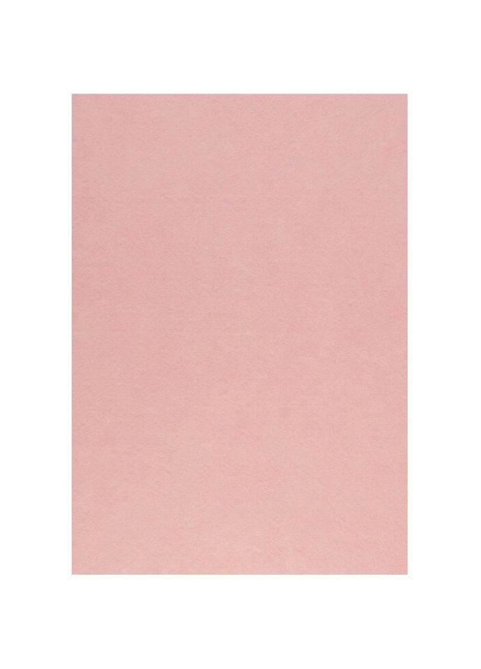 Набор фетра жесткого 741840 21х30 см 10 листов телесный Santi (335586001)