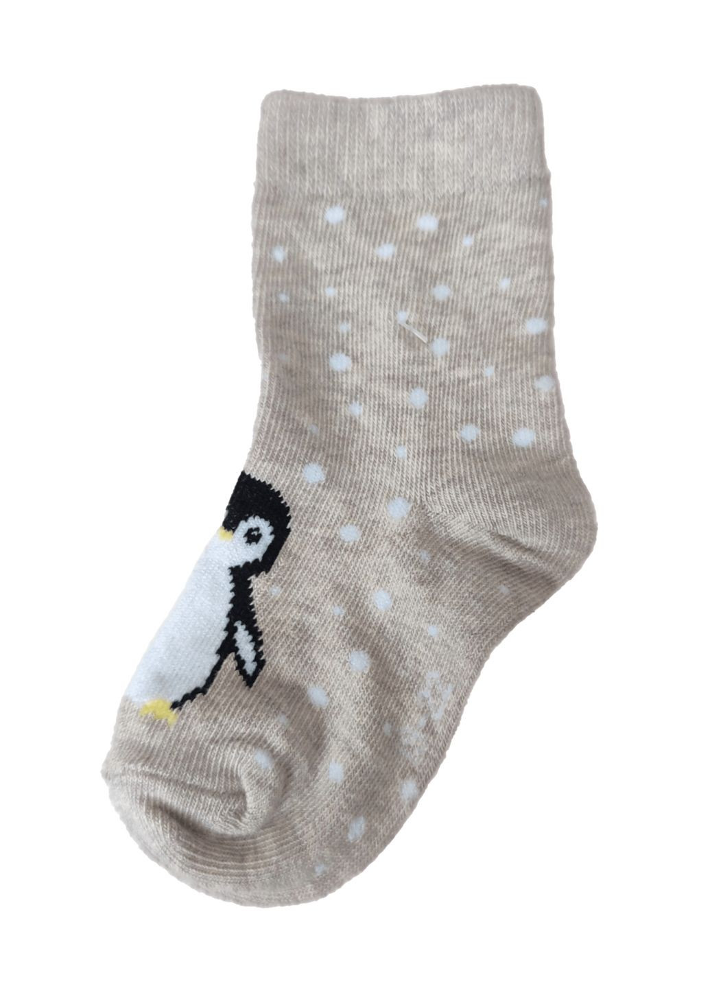 Шкарпетки бавовняні для хлопчика BDO74867 бежевий Lupilu (263343768)