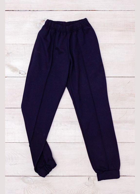 Синие повседневный демисезонные брюки Носи своє