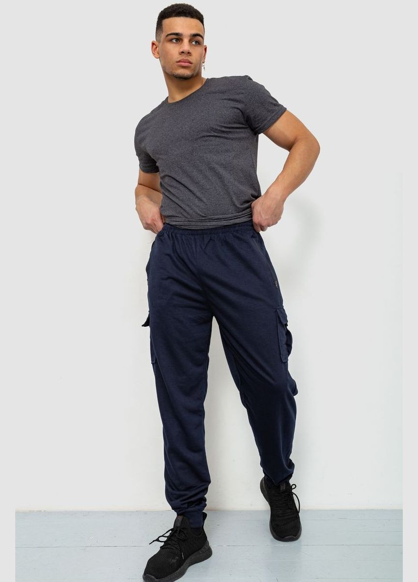 Спорт чоловічі штани Ager 244R41266 (293850025)