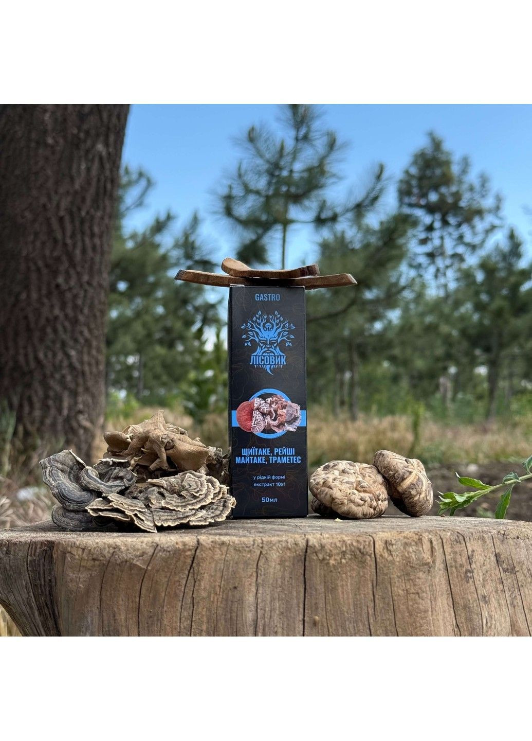 Комплекс рідких екстрактів Gastro для покращення роботи Шкт 30 мл Лісовик (364210640)