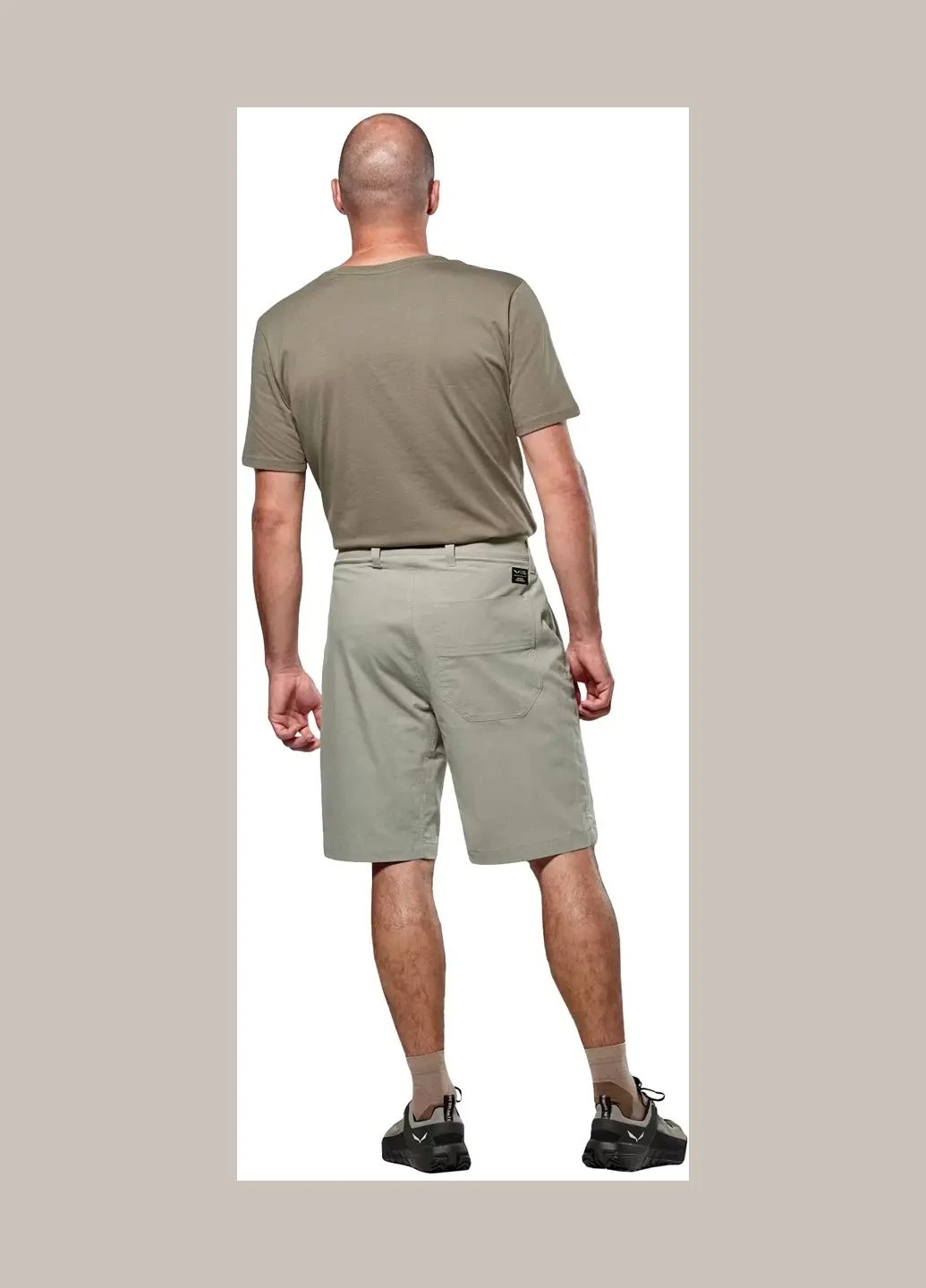 Шорти Fanes Hemp Light Shorts Men Light Grey Salewa (330143508)