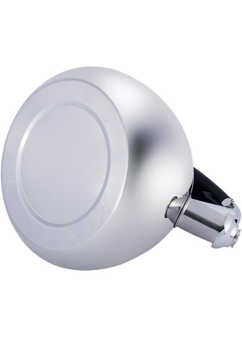 Чайник из нержавеющей стали 2.8л со свистком и стеклянной крышкой для кипячения воды чайник для чая Kamille (368980614)