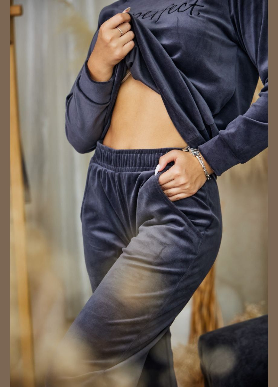 Жіночий костюм велюровий повсякденний спортивний No Brand костюм спортивний (316323722)