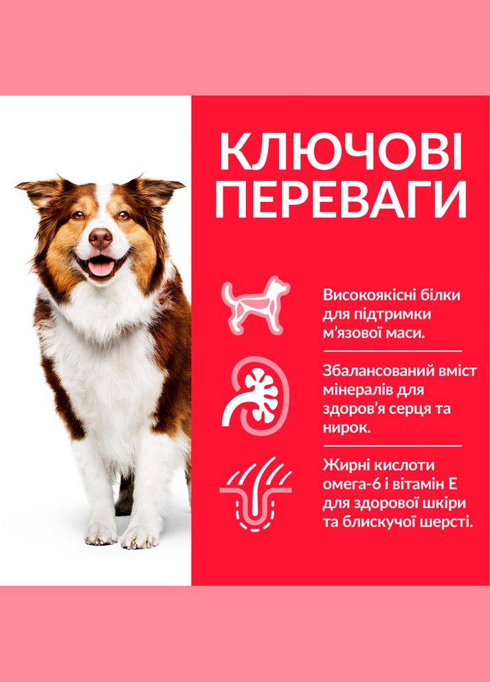 Сухий корм для літніх собак середніх порід Hill's Mature Medium Adult Chicken з куркою 14 кг 604378 HILLS (268987599)