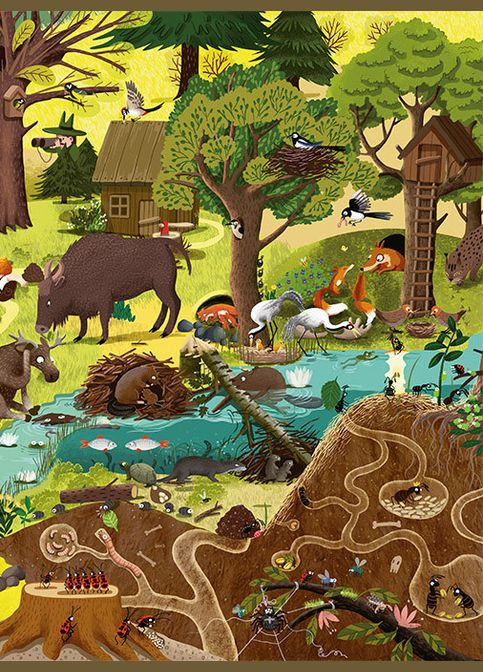 Віммельбух розвиваюча книга для дітей Рік у лісі Видавництво Старого Лева (273238567)