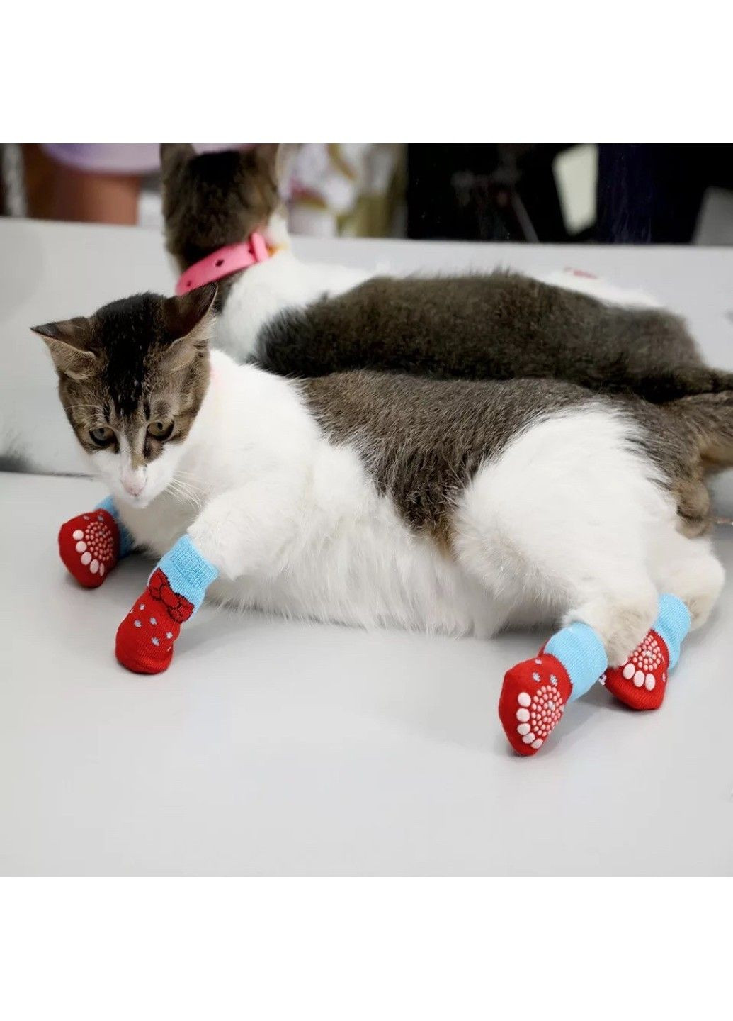 Носки с антискольжением для собак хлопок "Red and Blue" Size S Xtep (320953058)