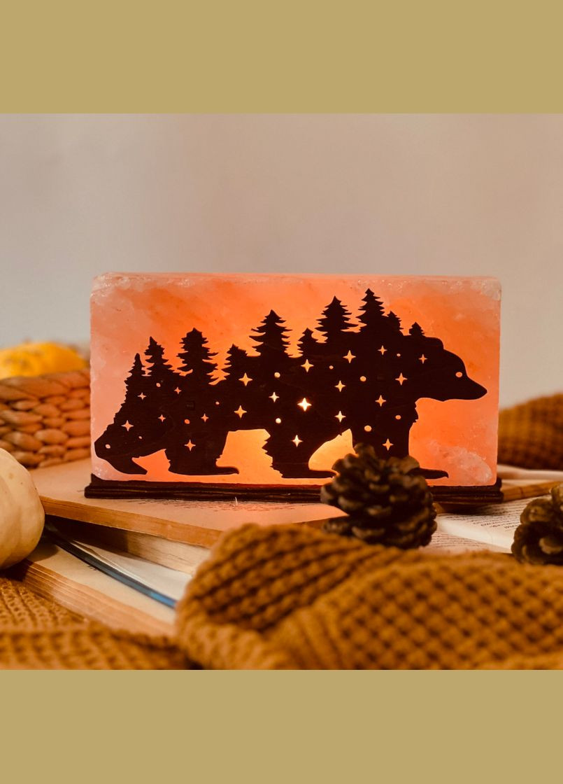 Соляний світильник сольова лампа 100% із рожевої Гімалайської солі 2 кг на кімнату 15 – 17 кв.м. (Lamp1903007) No Brand (316230783)