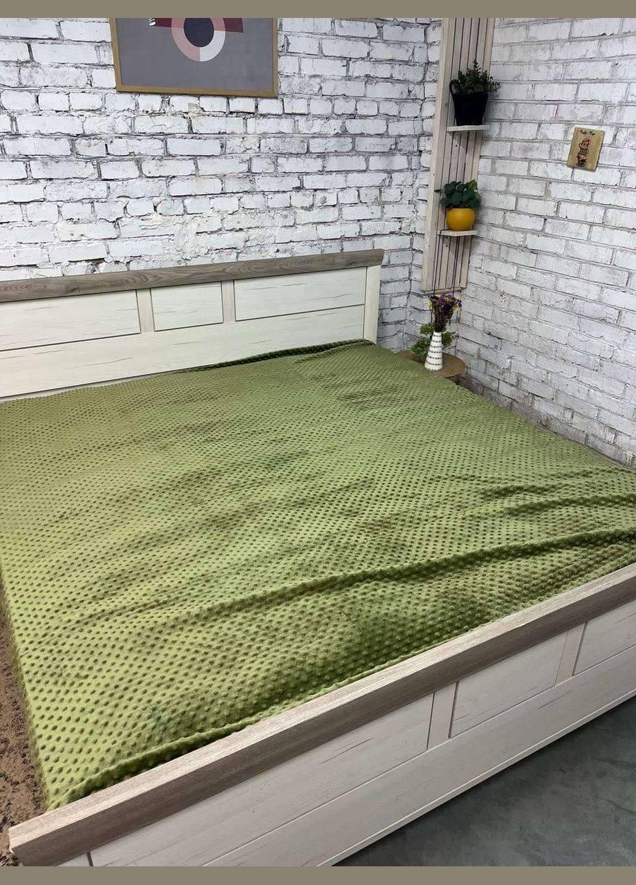 Плед пушистый из флиса на диван 200х215 см Зеленый (П4Кmur-flis-pled-002-03) No Brand (308754504)