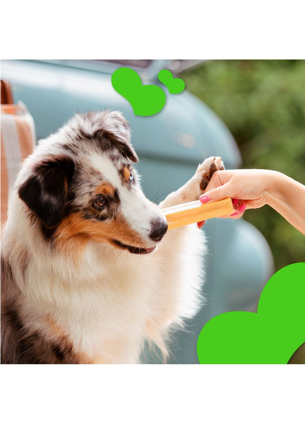 Ласощі для собак Сирні палички з кропом 70 г Mavsy (353515454)