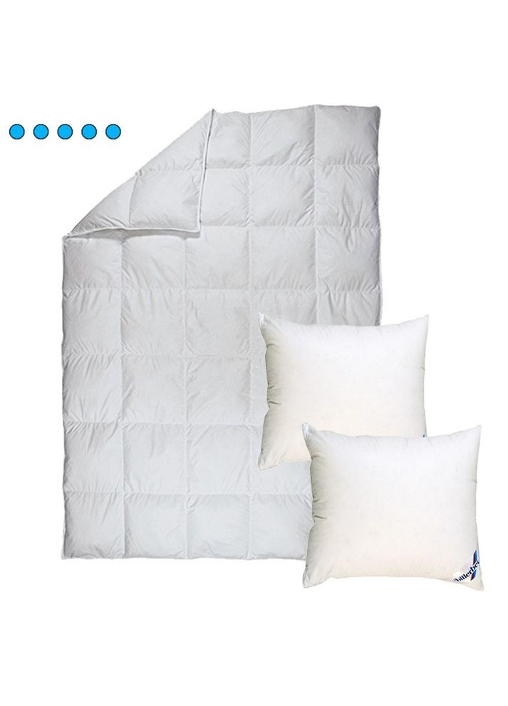 Комплект Ковдра Магнолія 200х220 см 0590-02-03 білий + Дві подушки Лідія 60х60 см 1590-30-60 білий Billerbeck (317304313)