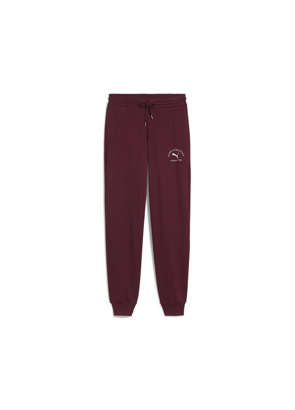 Штаны Class Comfort Sweatpants Women Puma (353306694)