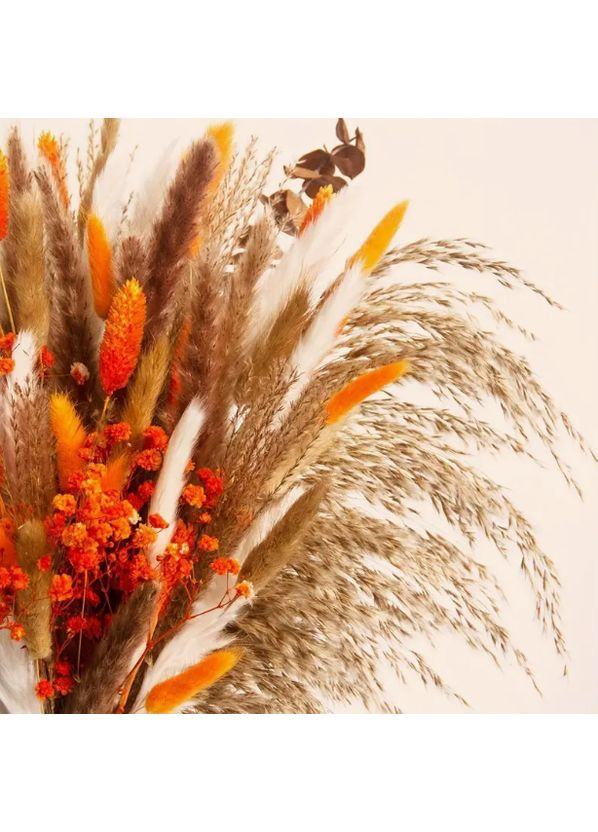 Букет сухоцветов из пампасной травы Бохо-шик A.G. (361111448)