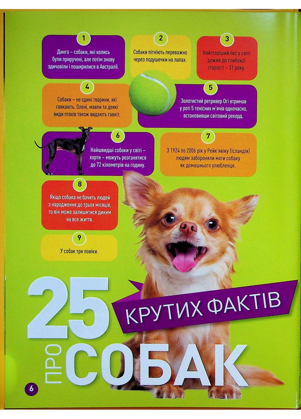 Гав! 100 интересных фактов о собаках Видавництво "Егмонт Україна" (370151940)