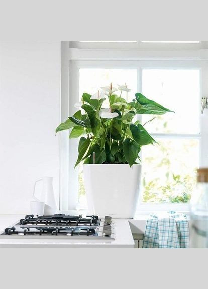 Вазон QUADRO LS 35 Белый блестящий 16160 Lechuza (316623625)