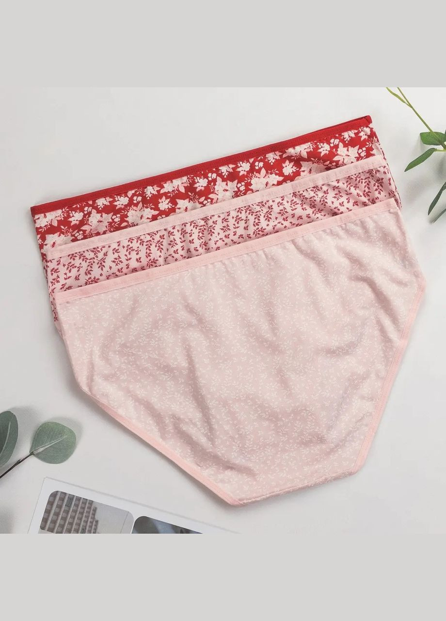 Набір трусиків жіночих бріфи трійки 3 шт Dominant (308791695)