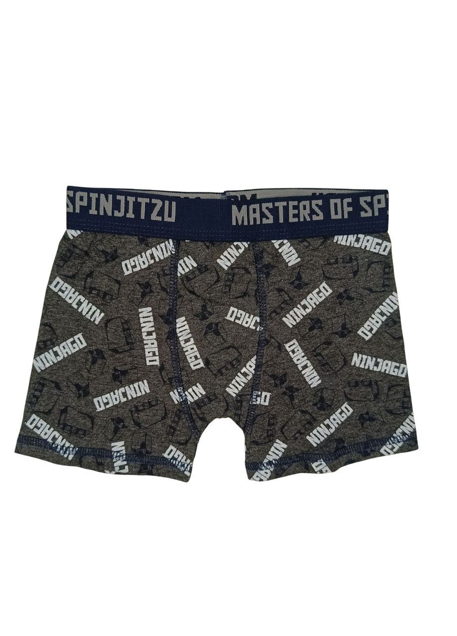 Детские трусы-боксеры для мальчика 110-116 см Серый (0693) Lego (338424058)