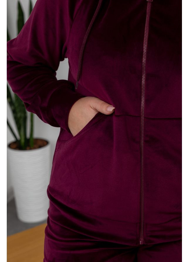 Жіночий спортивний костюм велюр демісезонний худі та штани джогери 23.1860 52( ) AKSAN (338182144)