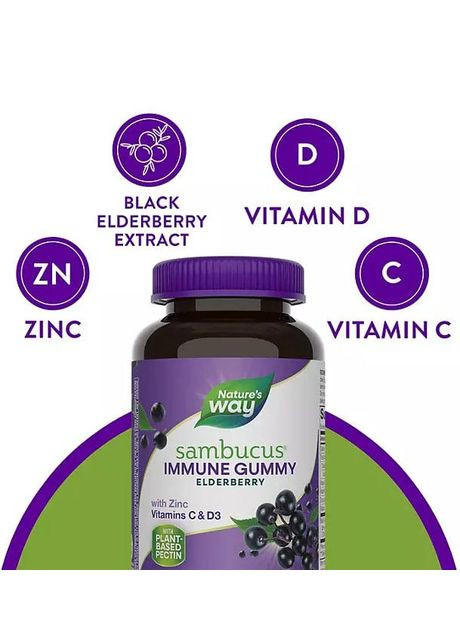 Імунна підтримка Sambucus Immune Gummy 3200 мг із вітамінами C,D і Zn 120 жувальних пастилок Nature's Way (320800940)