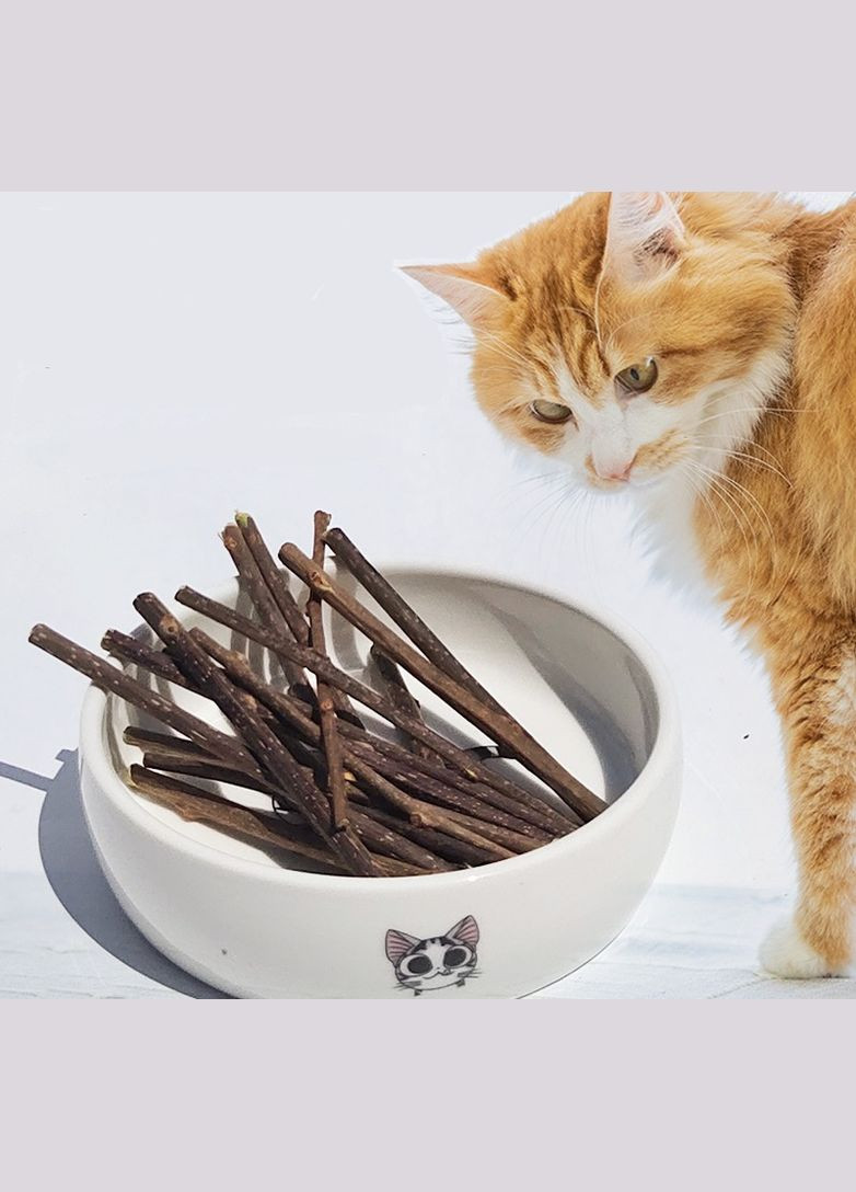 Дерев'яні жувальні палички кішці для догляду за зубами і як іграшка коту в наборі з 5 шт No Brand (322594621)