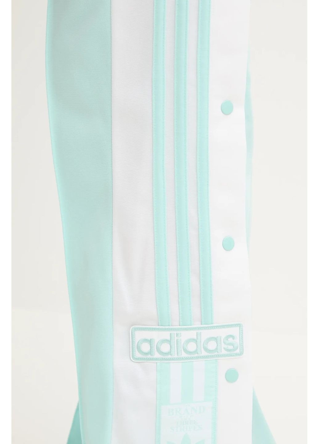 Спортивные штаны Adidas Originals (360916428)