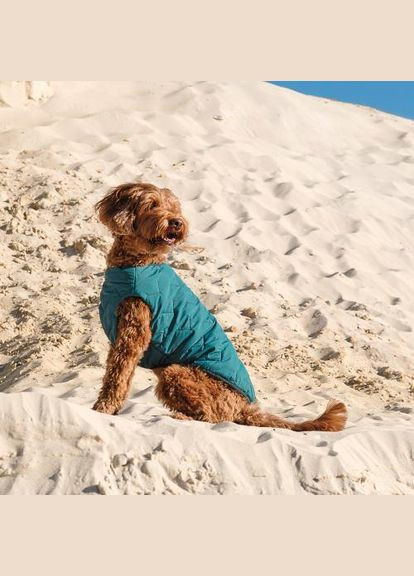 Жилет «E.Vest» для собак, розмір, морська хвиля (*) Pet Fashion (323153789)