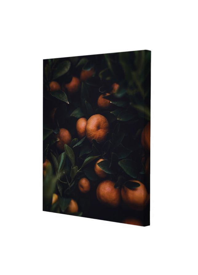 Набір постерів Мандаринове дерево (PS-180) 2 шт в наборі Riviera Blanca (303135758)